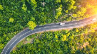 A winding road surrounded by trees.