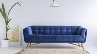 A blue couch with a plant, painting, rug, and light.